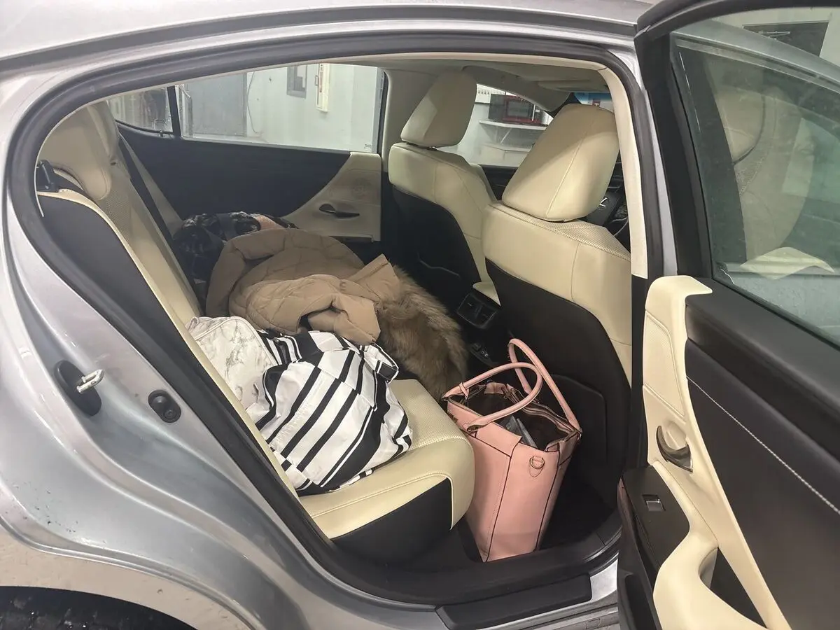 2022 Lexus ES 250 photo 4