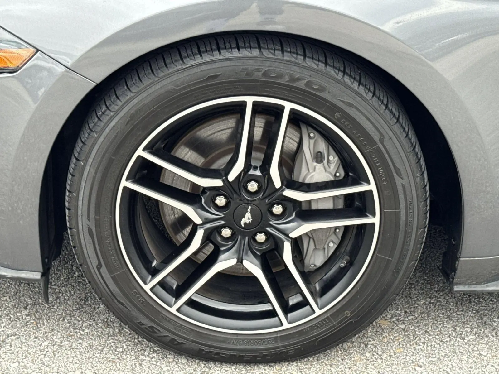image-19