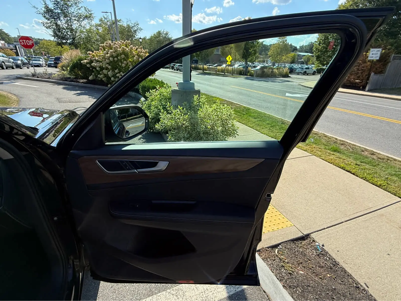 image-19