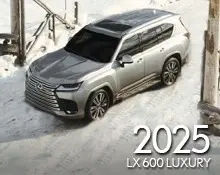2025 NX 250