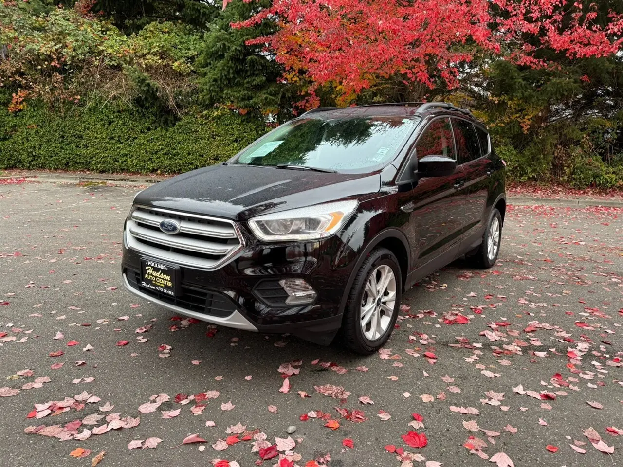 2018 Ford Escape SEL's photo