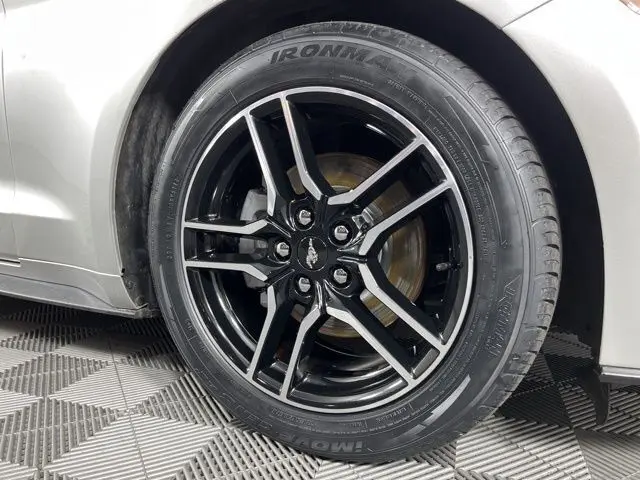 image-13