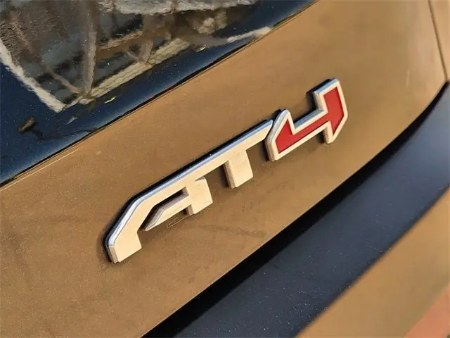 image-11