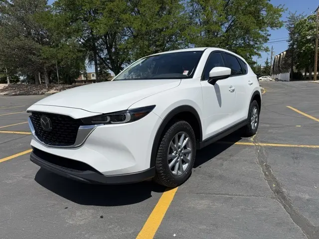 image-2