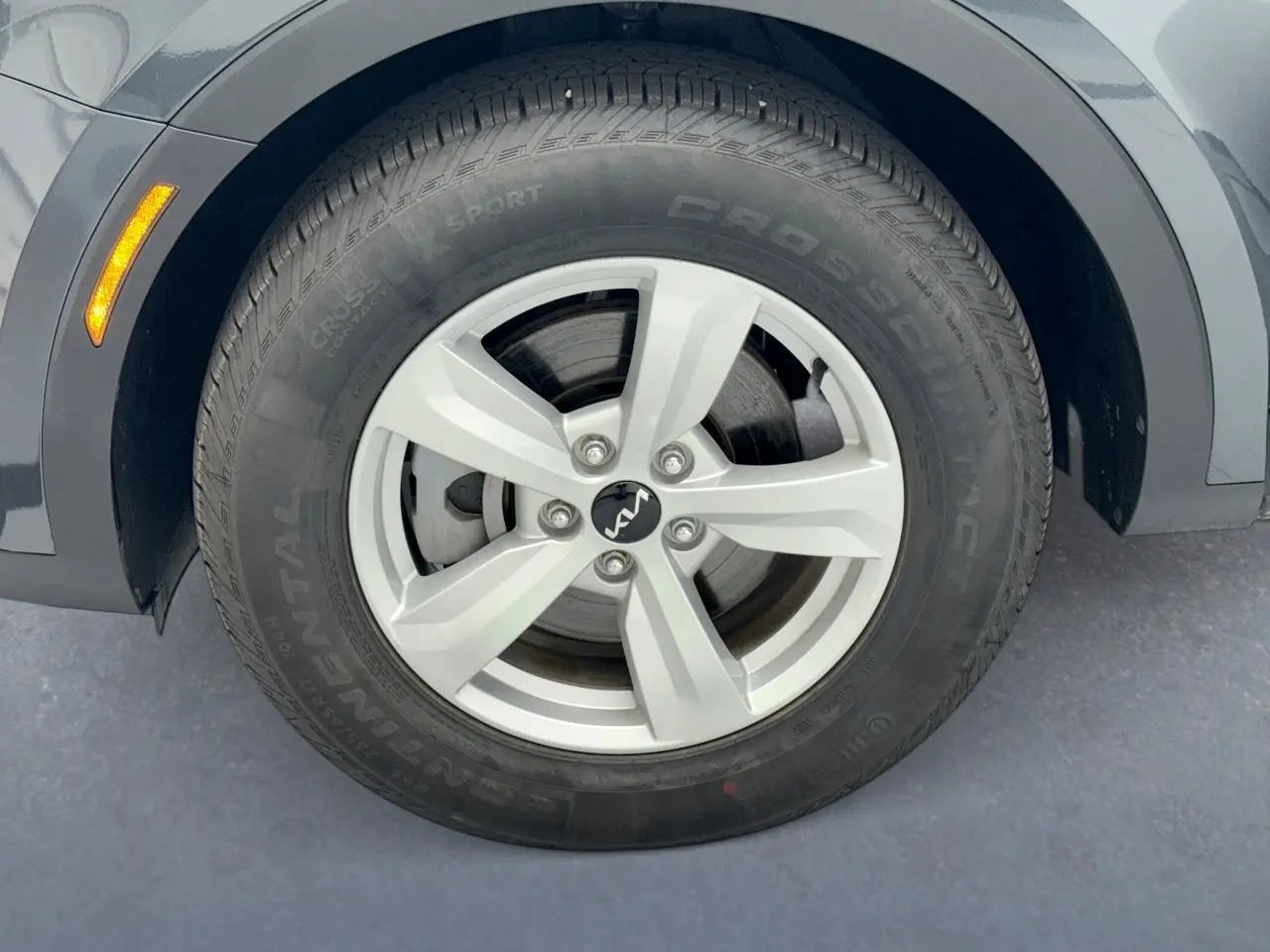 image-19