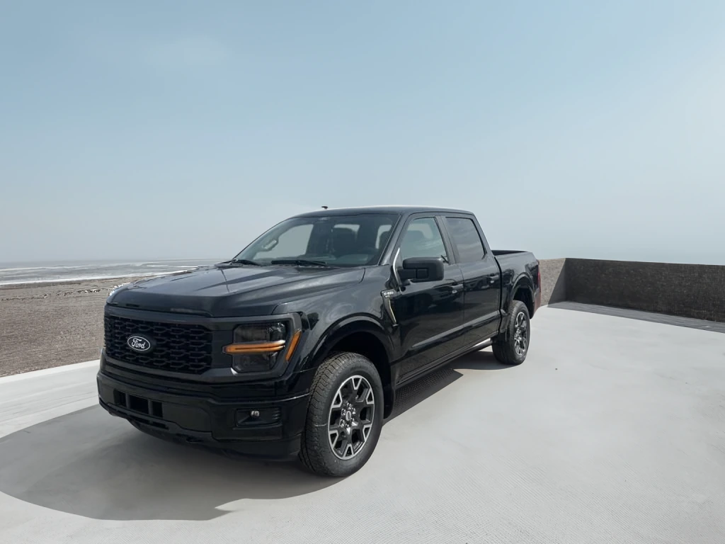 2025 Ford F-150 STX's photo