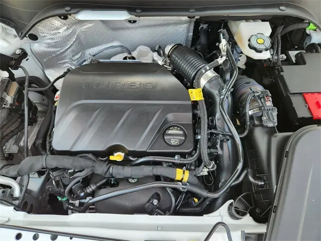 image-19