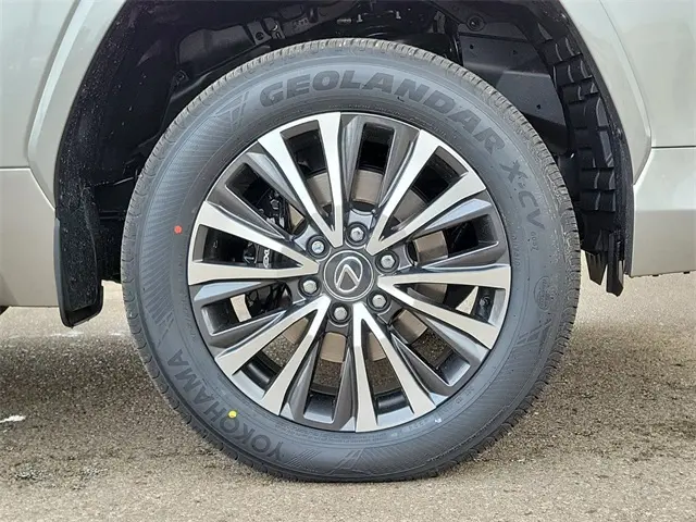 image-4