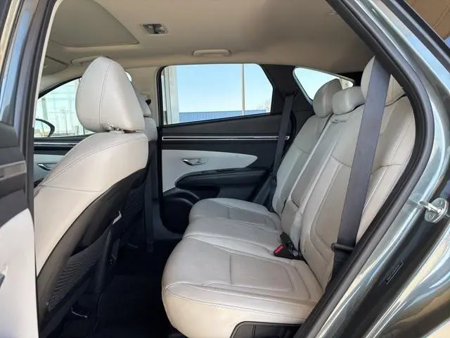 image-4