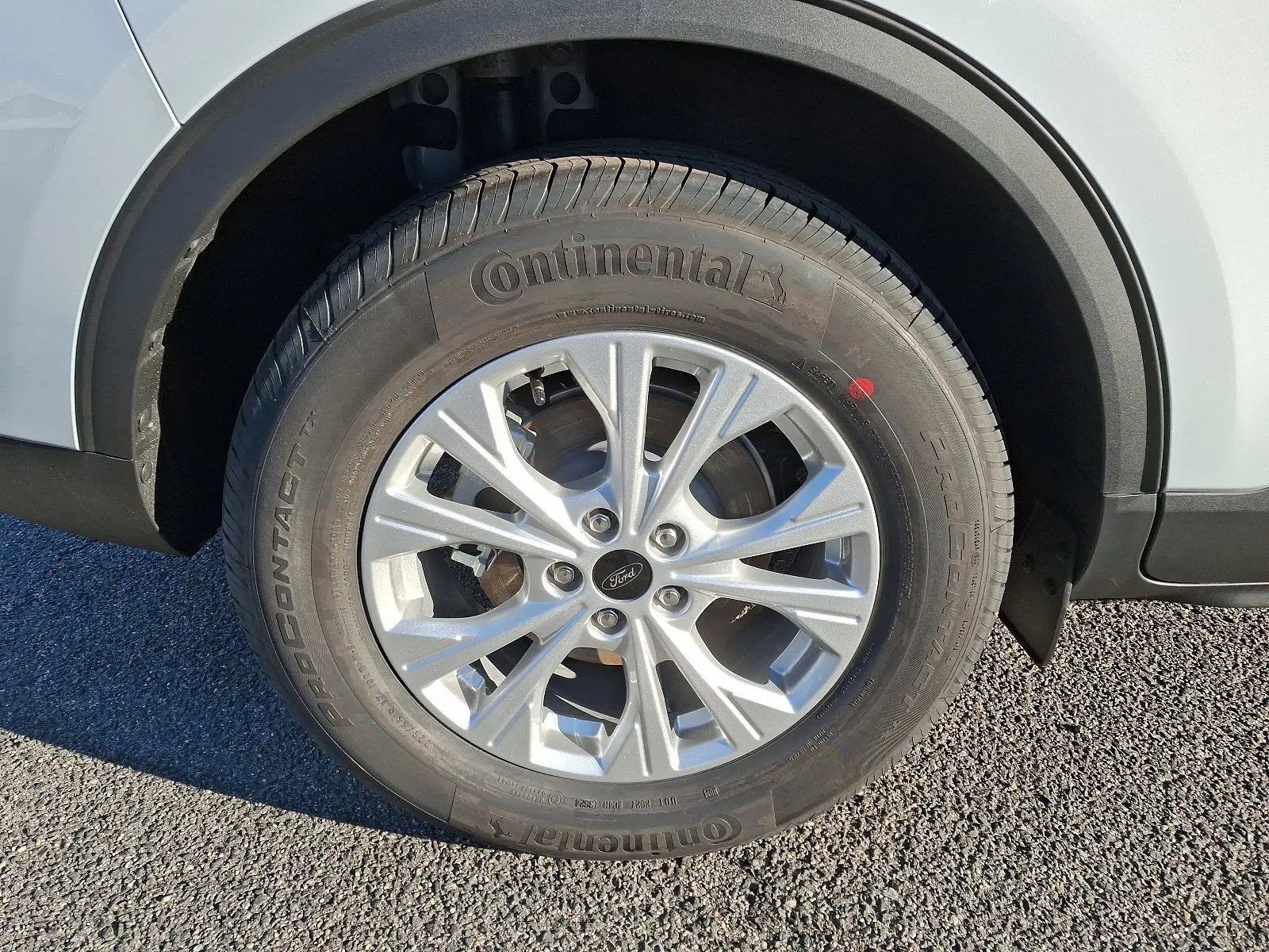 image-7