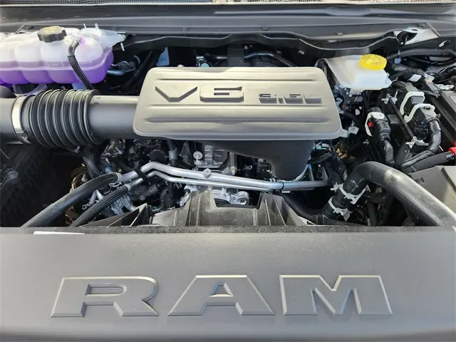 image-19