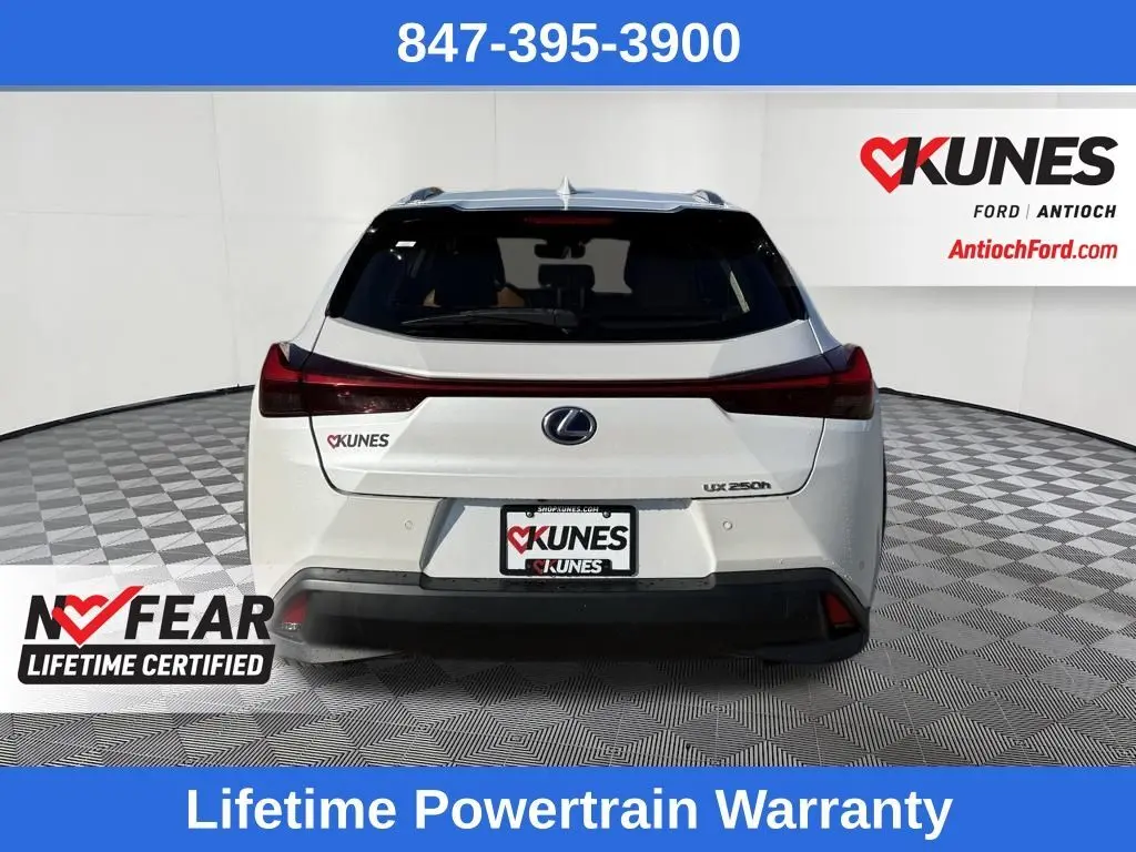 2019 Lexus UX 250h photo 4