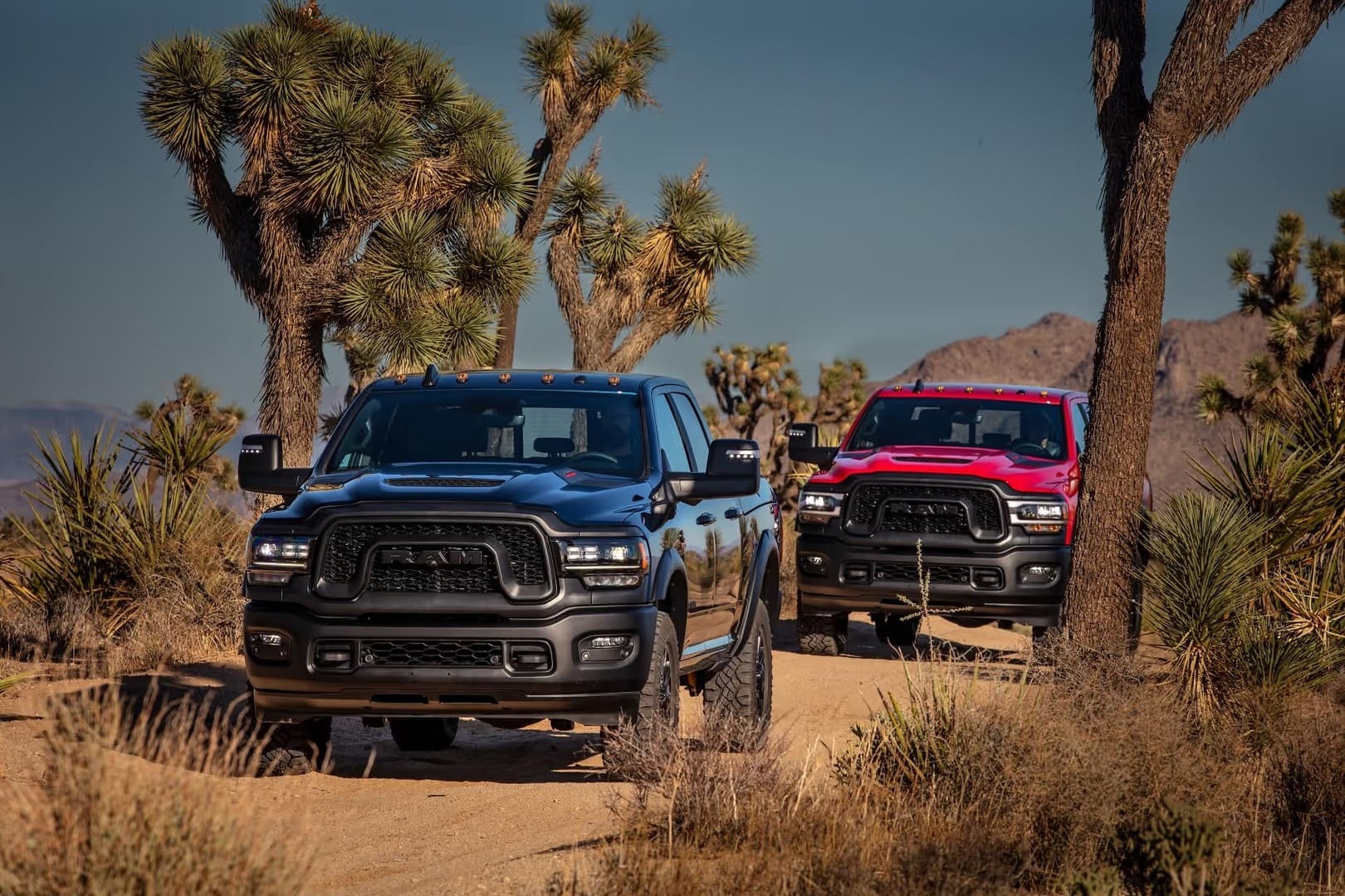 Cox Chrysler Dodge Jeep Ram Burlington NC