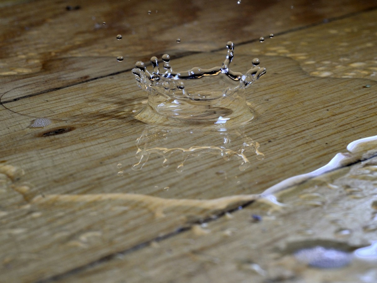 Water Damaged Hardwood Floor