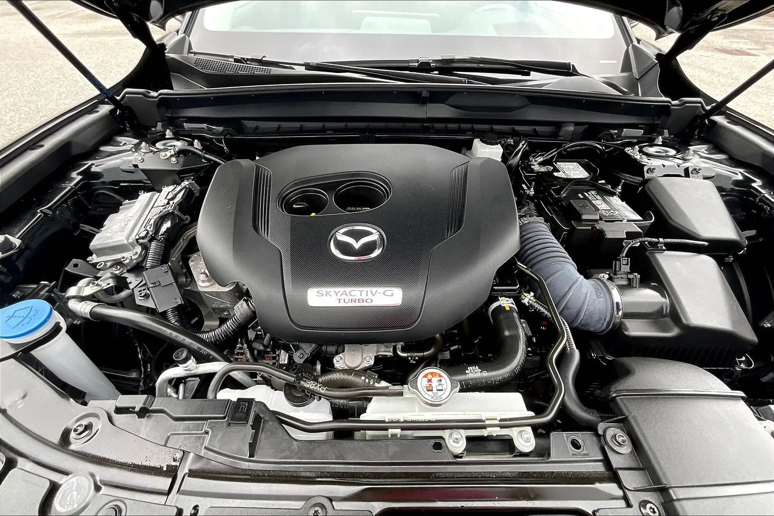 image-12