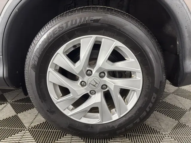 image-19