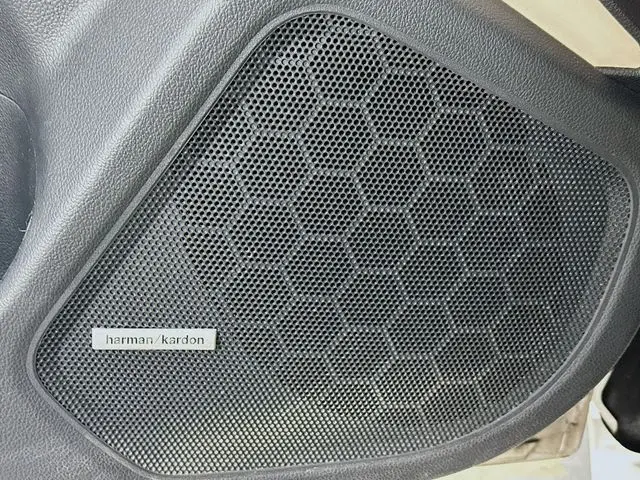 image-19
