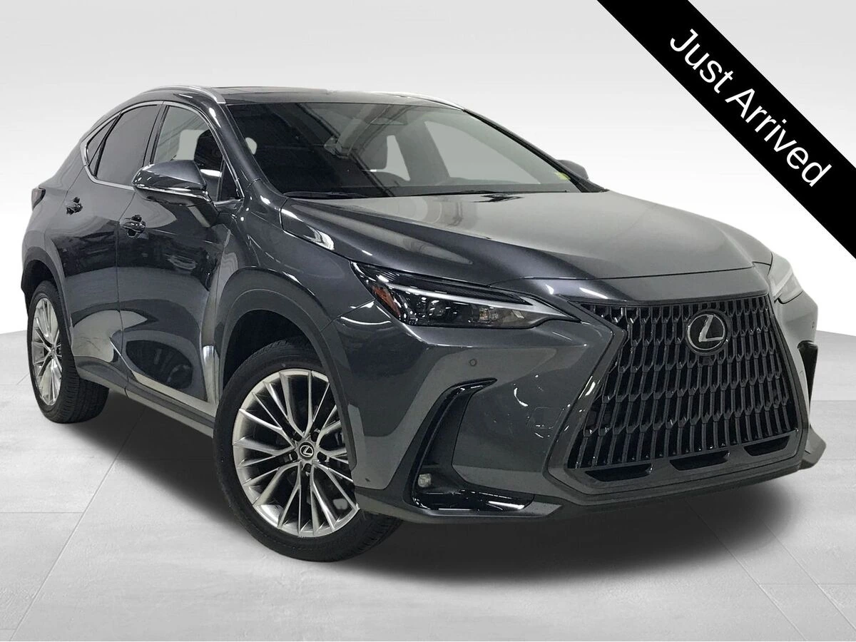 2025 Lexus NX 350h 350h Premium AWD's photo