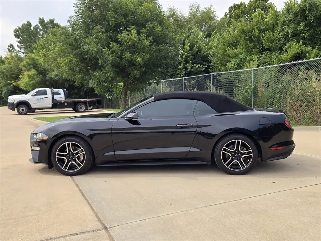 2019 Ford Mustang EcoBoost Premium photo 4