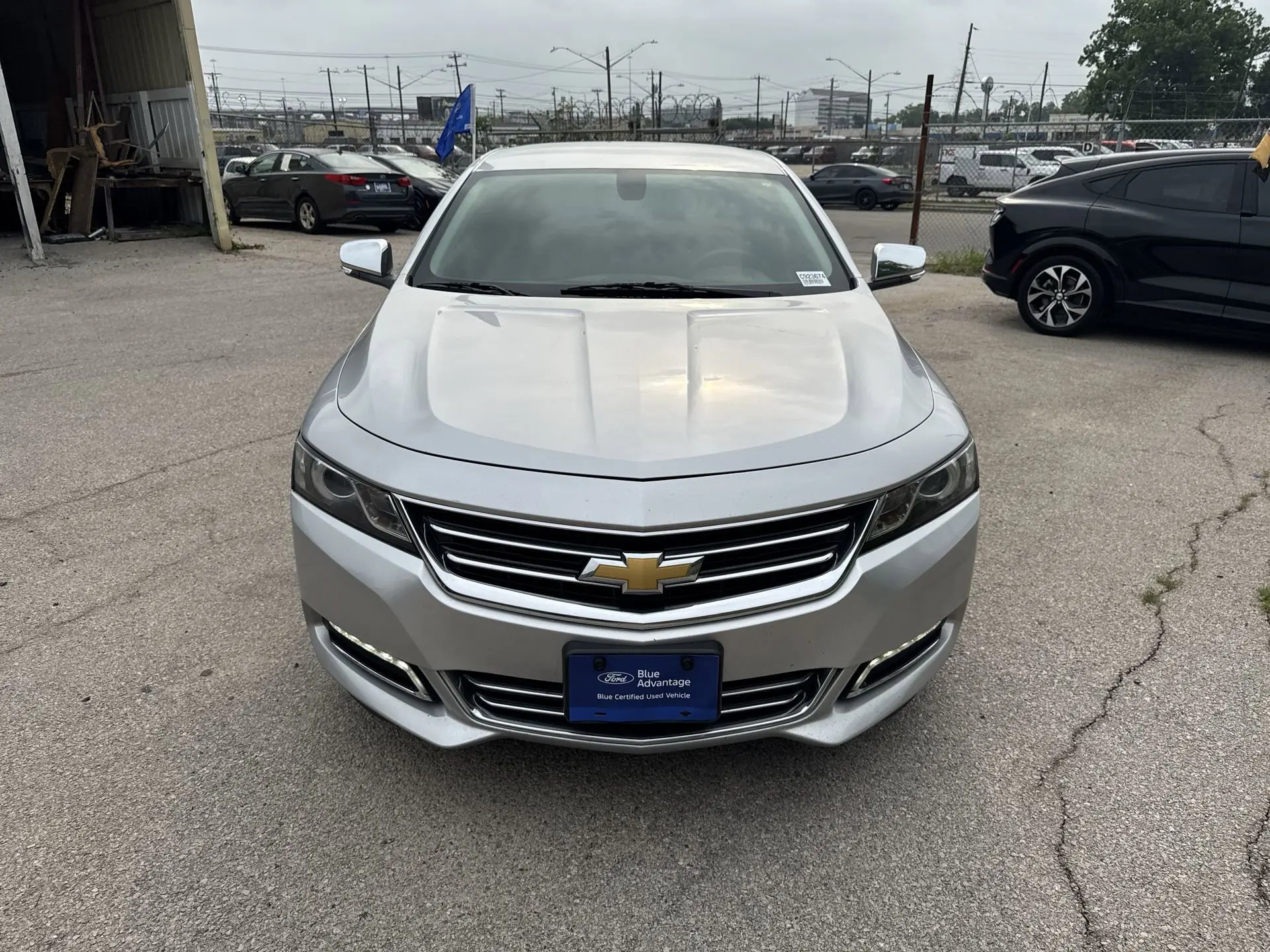 image-19