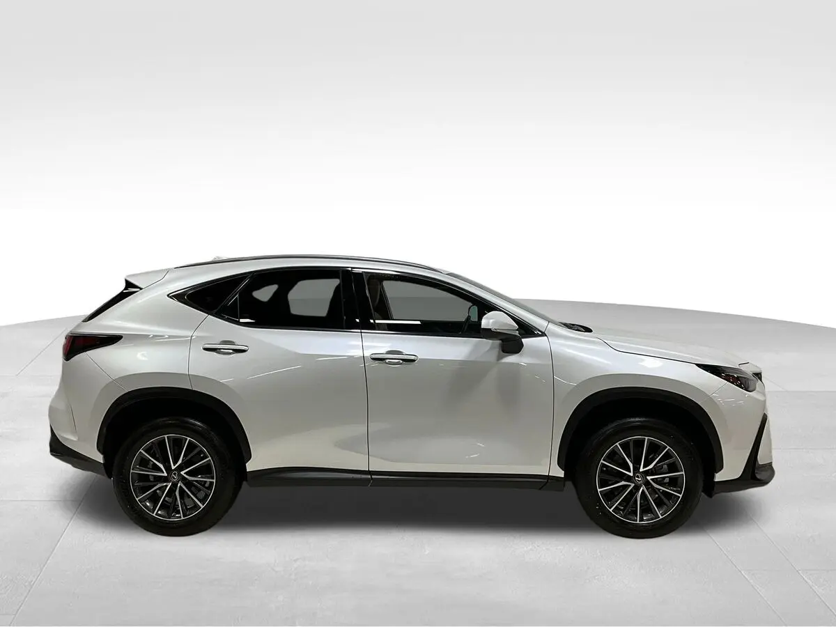 2023 Lexus NX 350h Premium photo 3