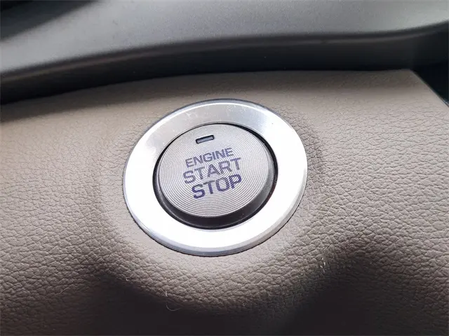 image-19
