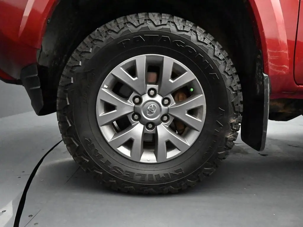image-11