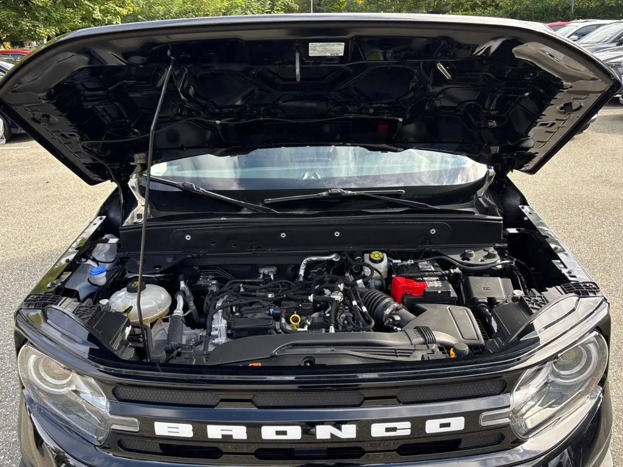image-14