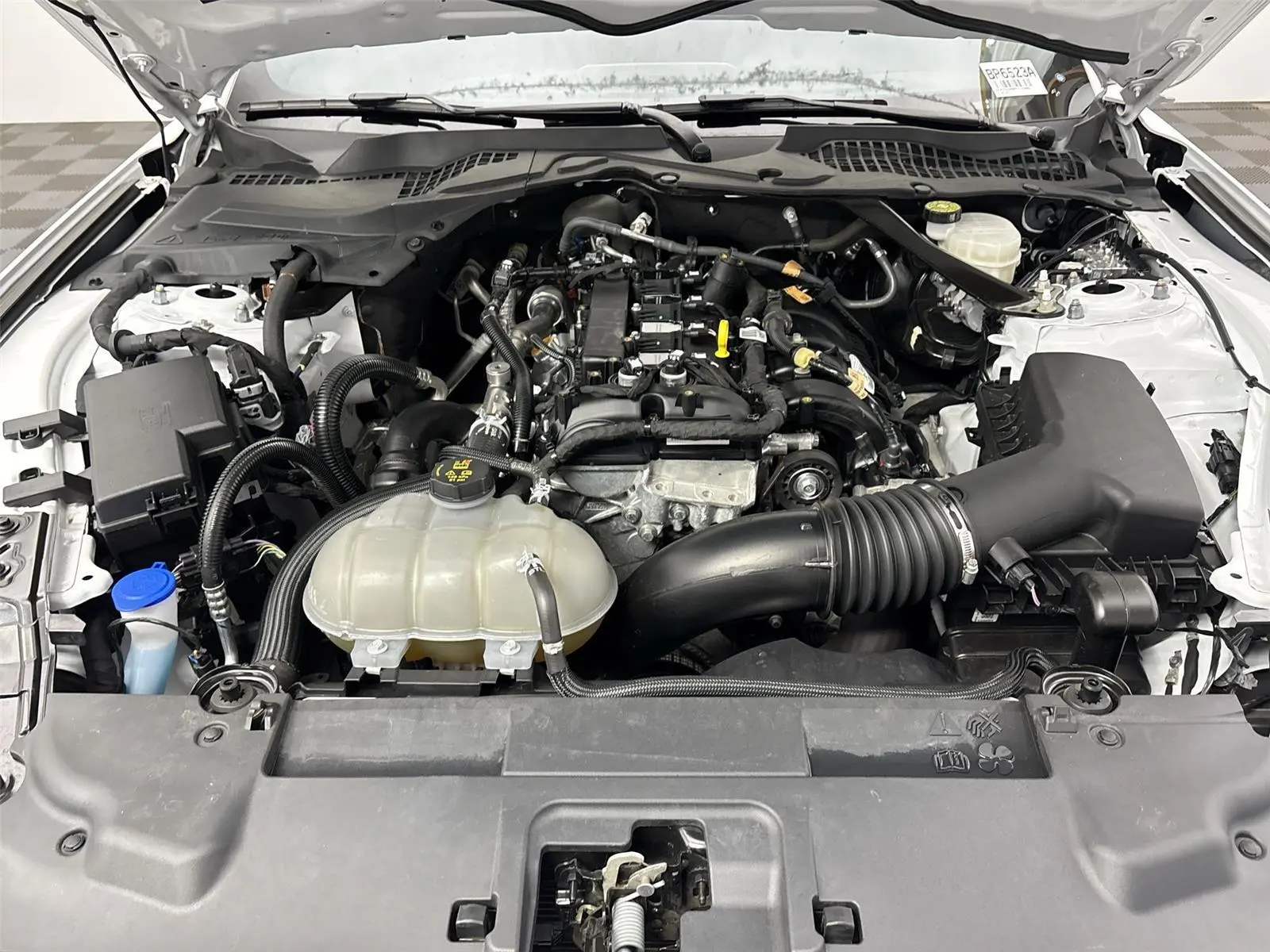 image-19