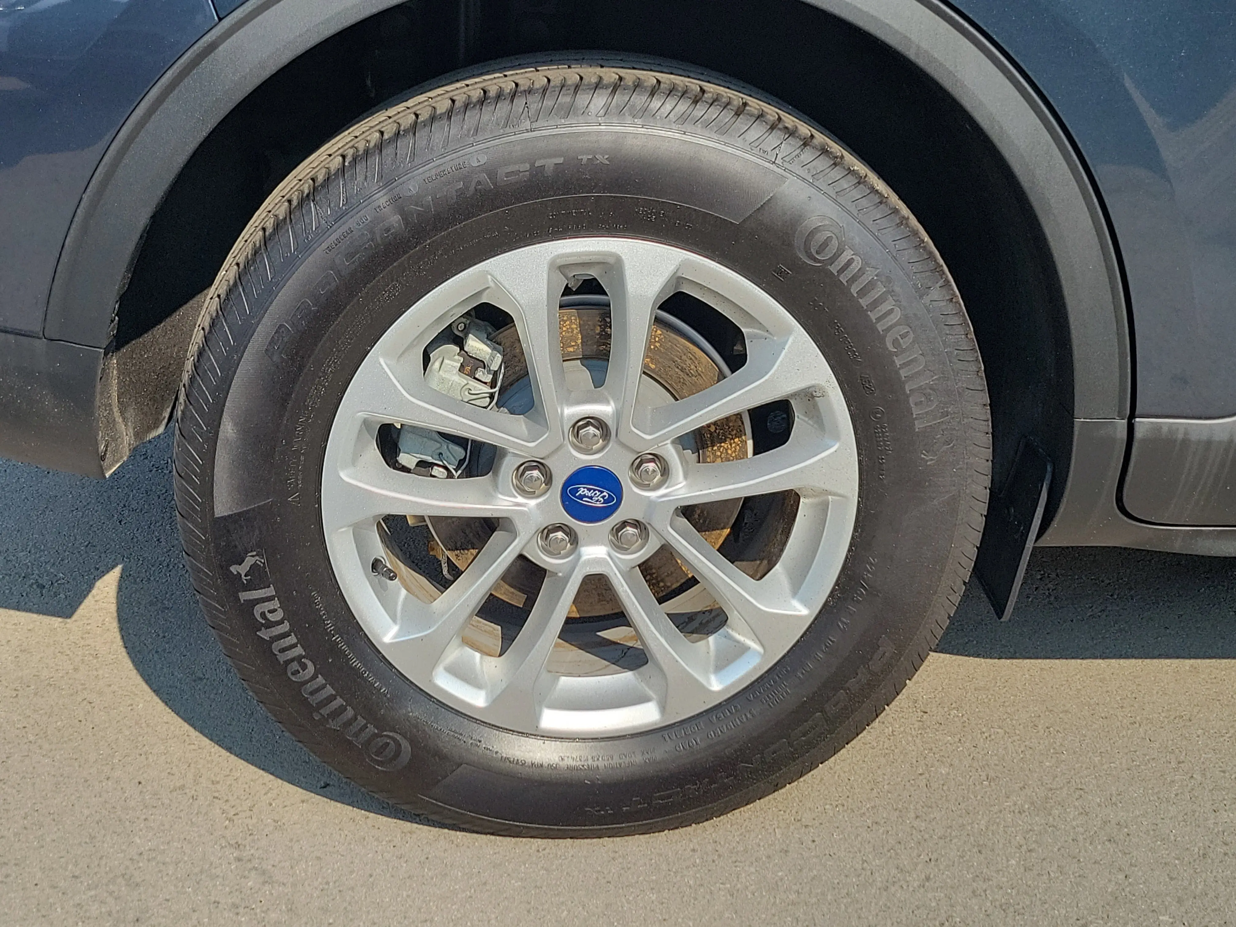 image-6
