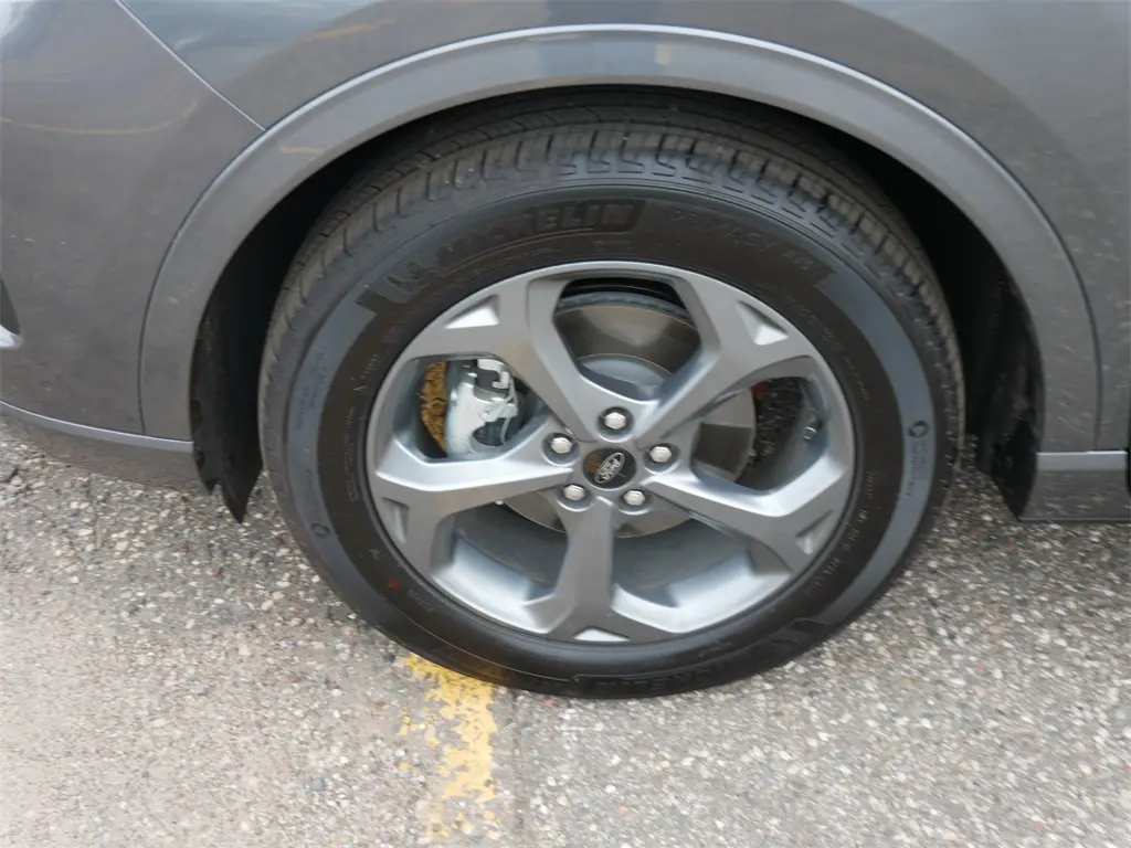 image-19
