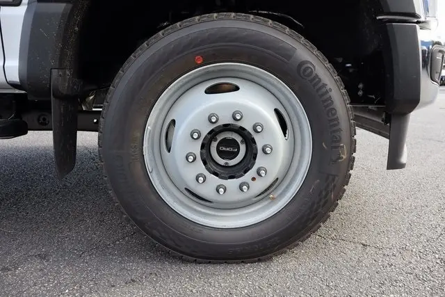 image-8