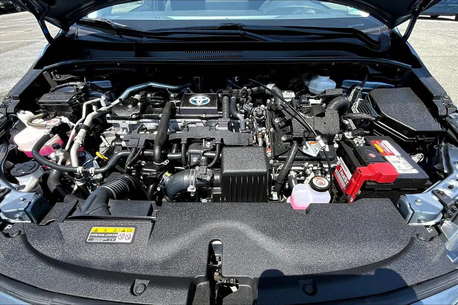 image-9