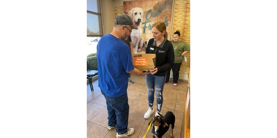 Boss the chihuahua adopted through Subaru Loves Pets