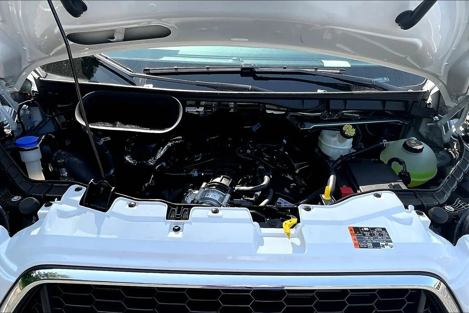 image-9