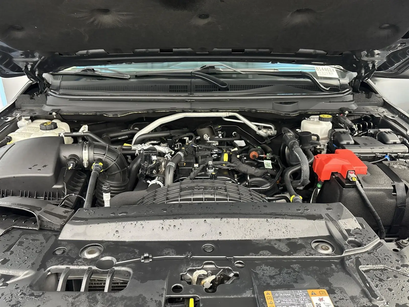 image-7