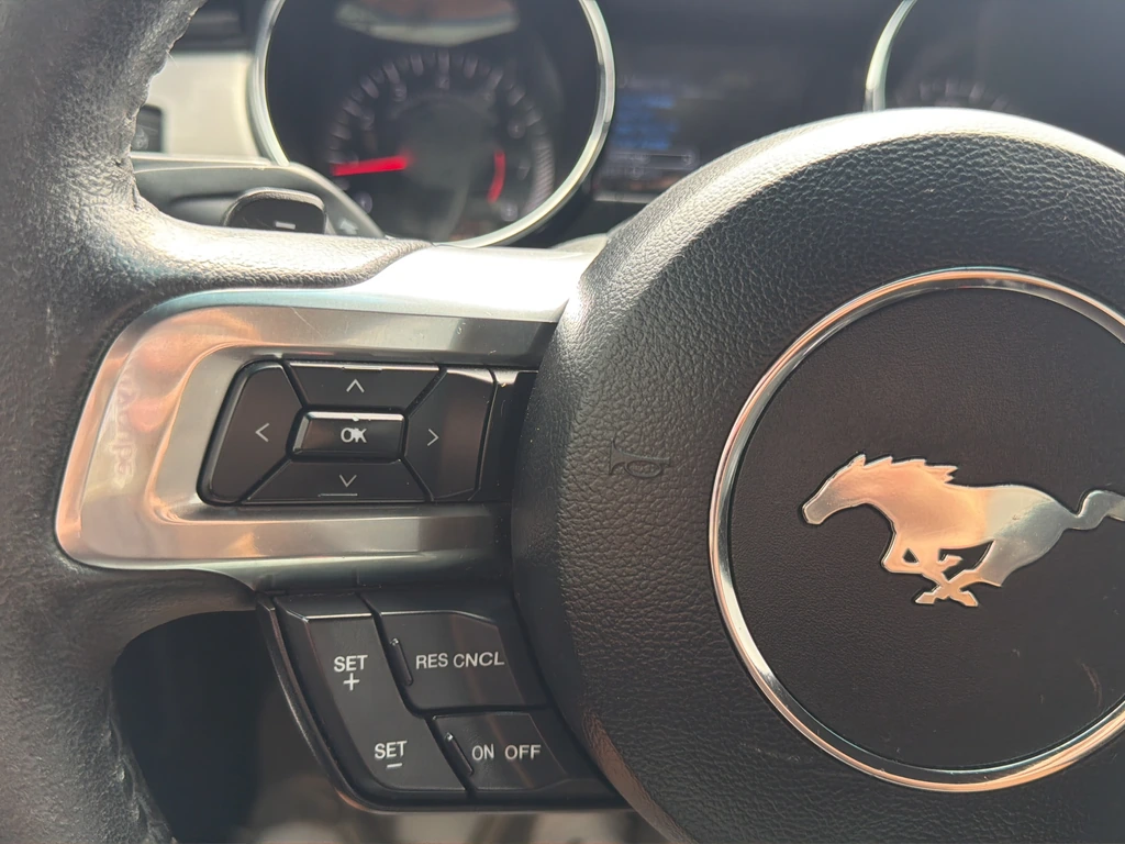 2015 Ford Mustang EcoBoost - Photo 16