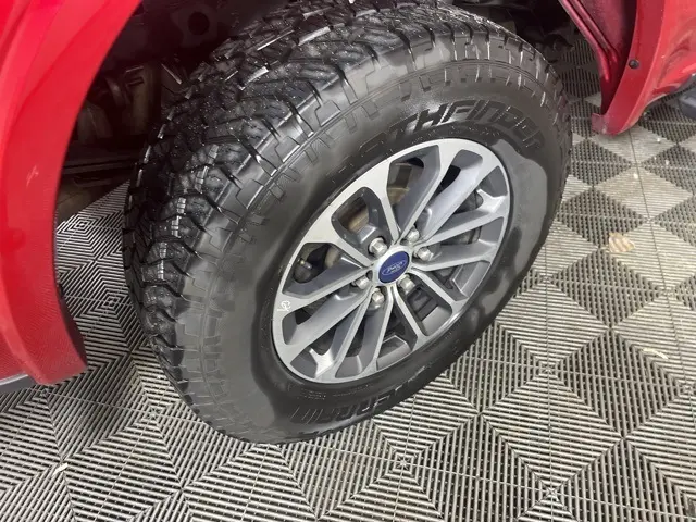 image-7