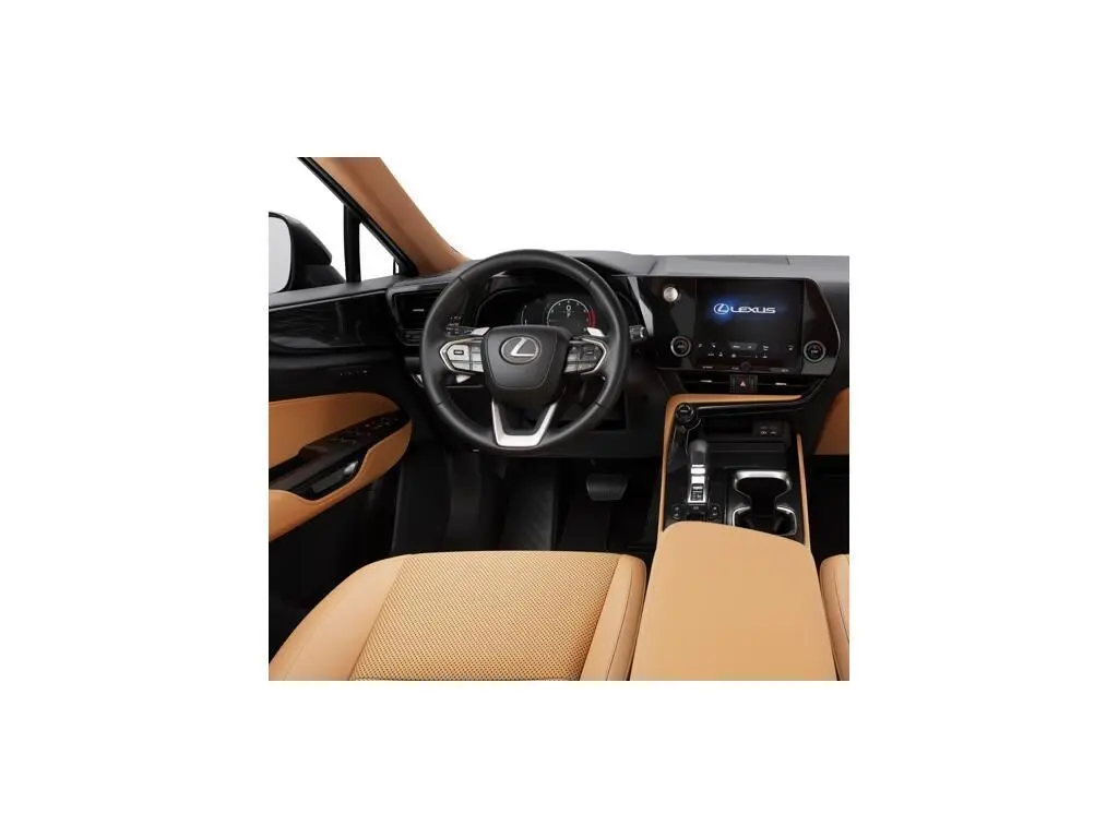 image-12