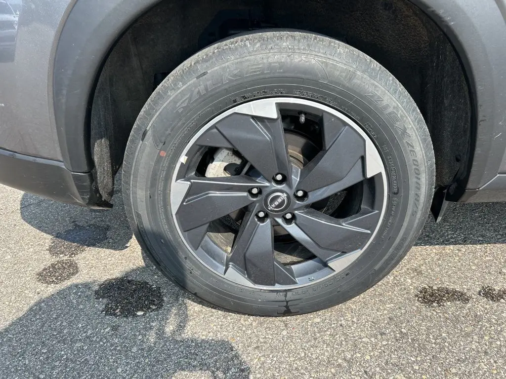 image-11