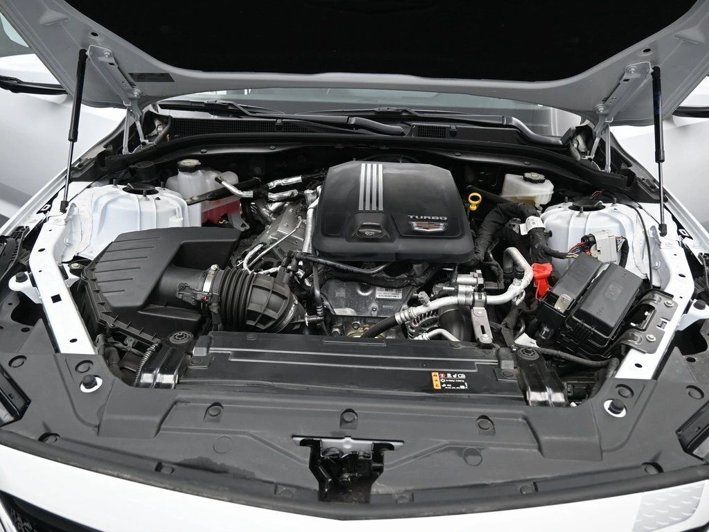 image-42