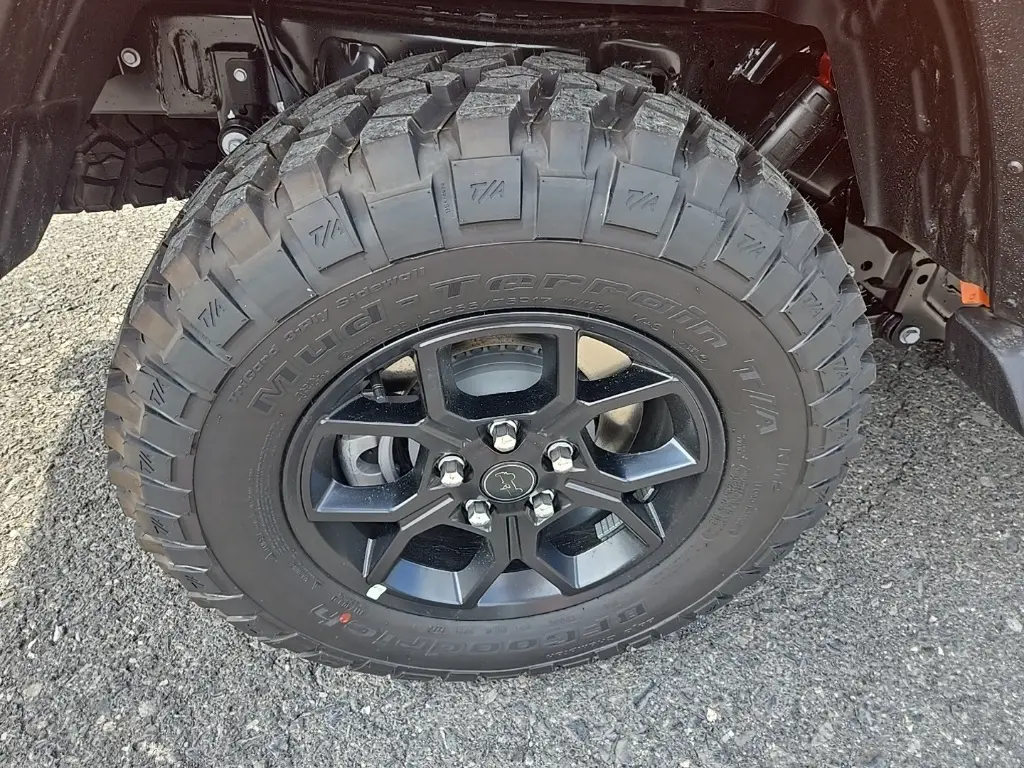 image-11