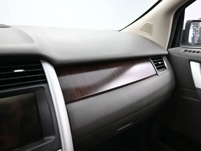 image-19