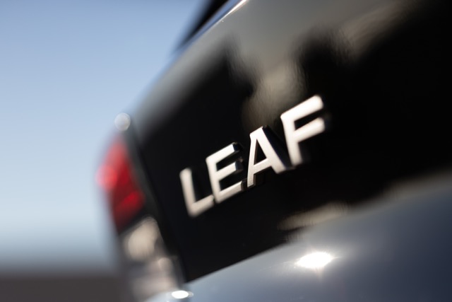 Nissan Leaf Badge Closeup