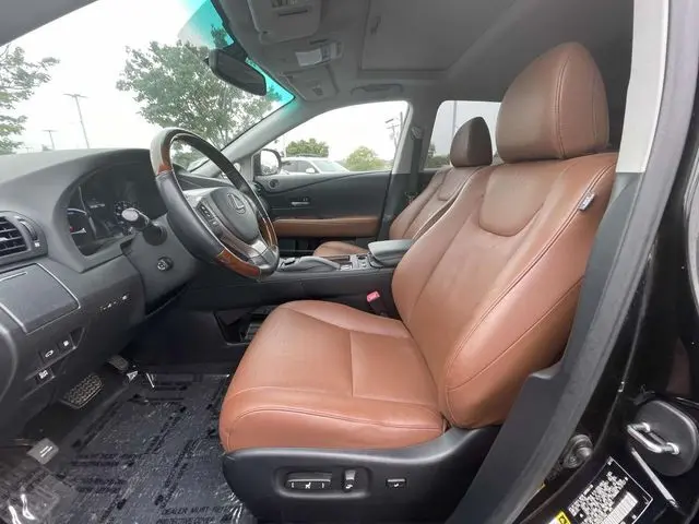 image-15