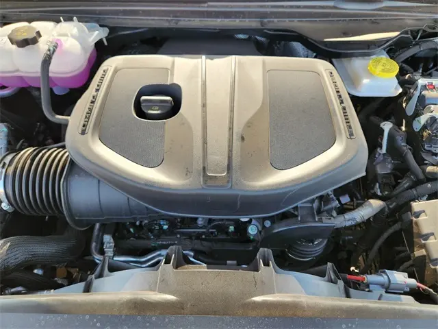 image-19