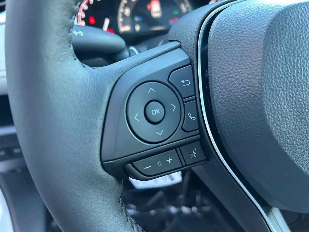 2025 Toyota RAV4 XLE photo 16