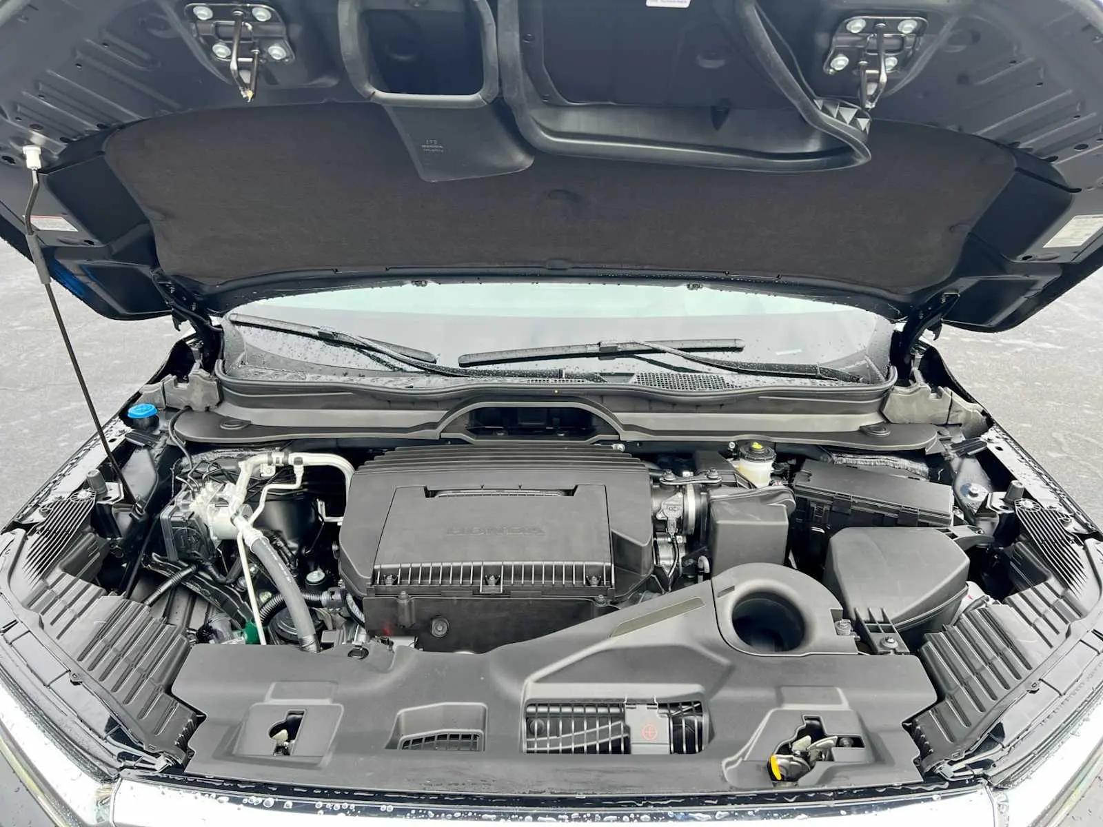 image-42