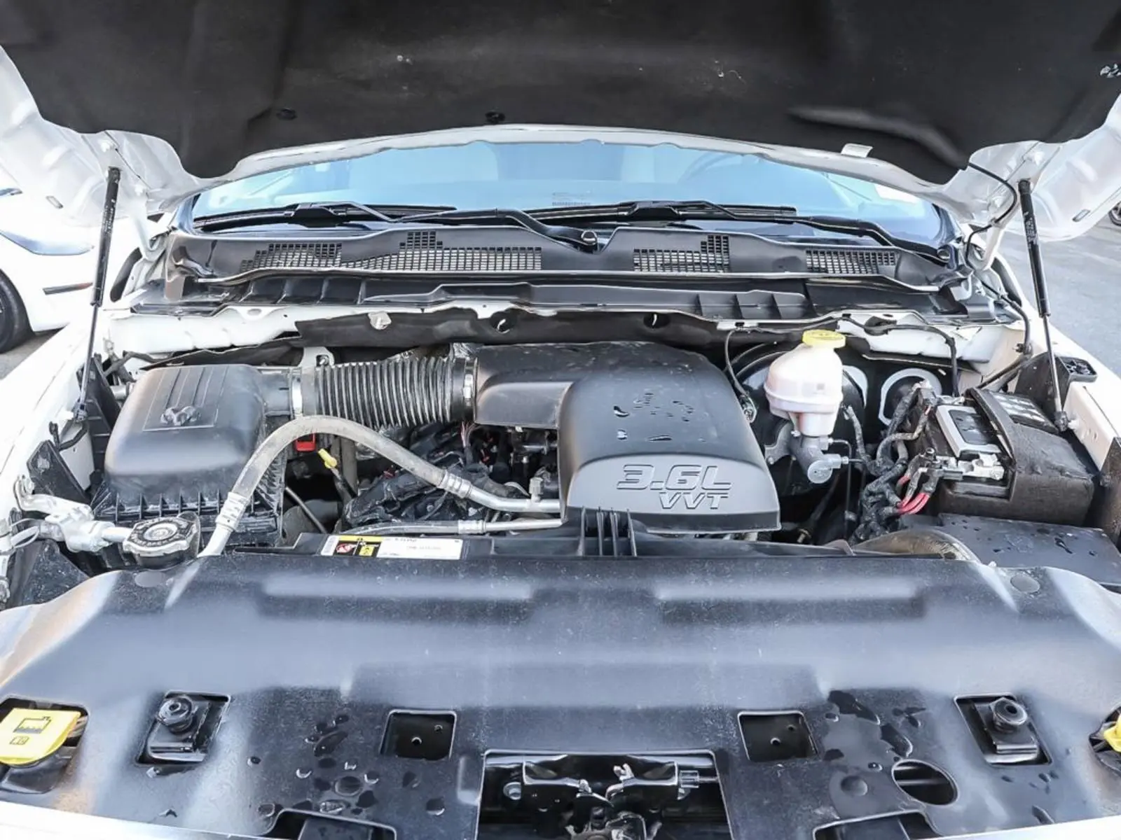 image-7
