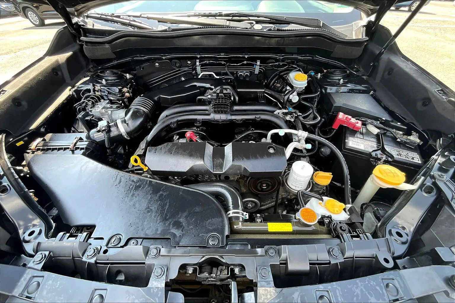 image-8